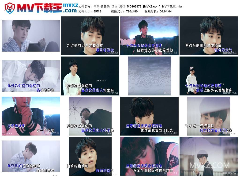 韦琪-偷偷的_国语_流行_MD105979